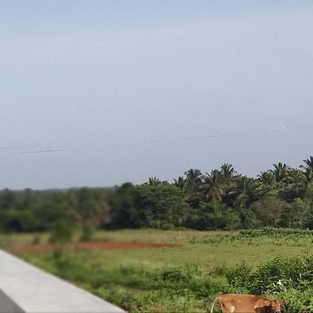 Kolluri Nivasa Entire Ff Bunglow, Garden, Green Surrounding, Hall Villa Mysore Exterior photo