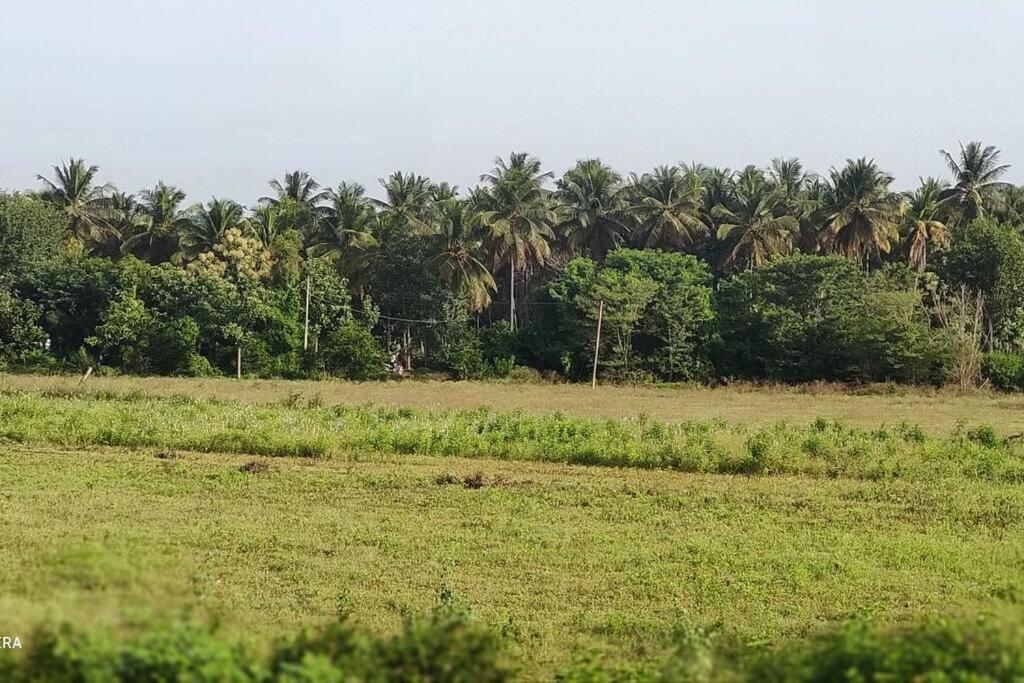 Kolluri Nivasa Entire Ff Bunglow, Garden, Green Surrounding, Hall Villa Mysore Exterior photo