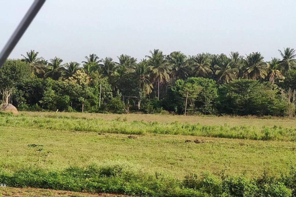 Kolluri Nivasa Entire Ff Bunglow, Garden, Green Surrounding, Hall Villa Mysore Exterior photo